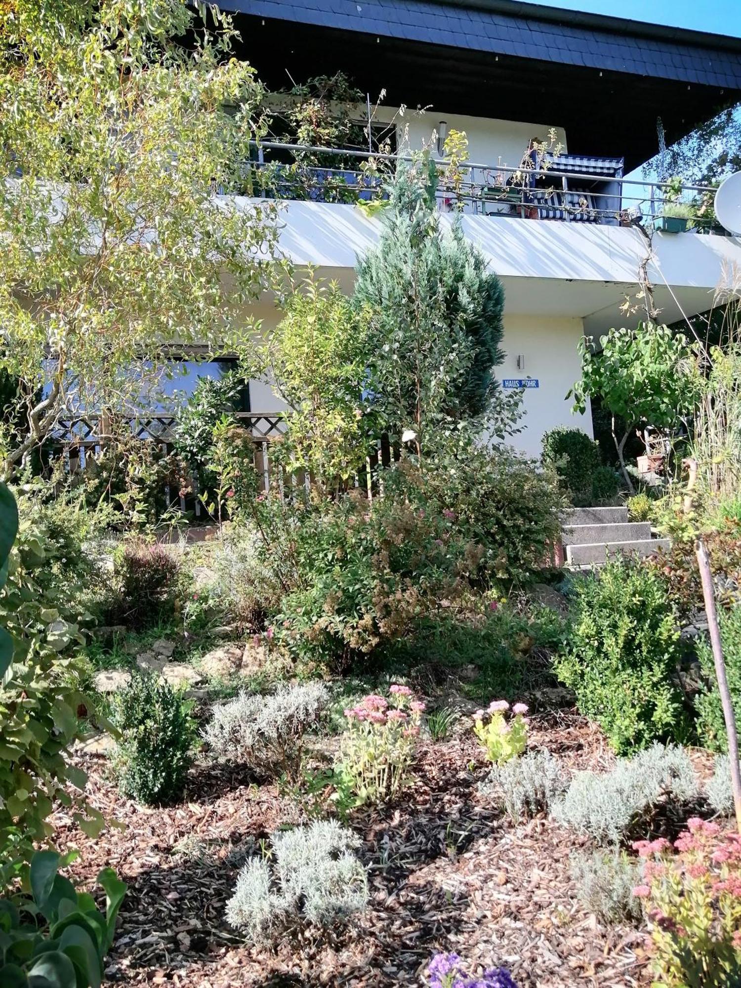 Haus Mohr - Ferienwohnung Im Taunus Weilmunster Exteriör bild